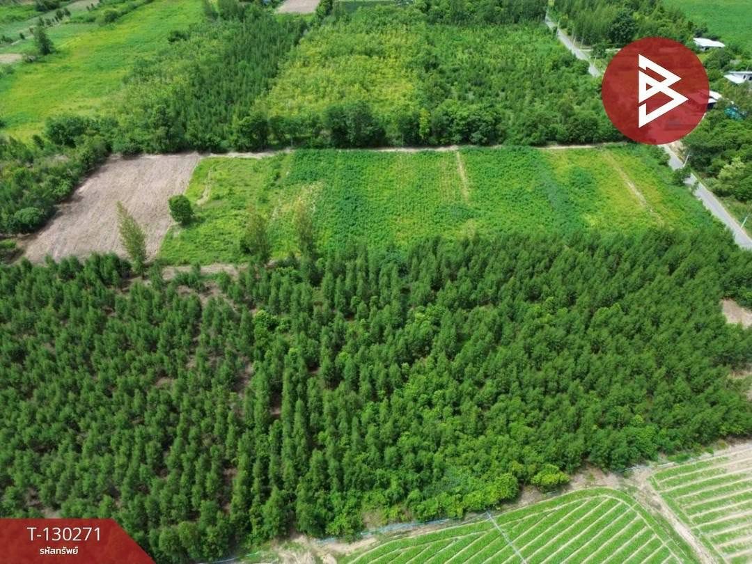 ขายที่ดินสวนผึ้ง ราชบุรี เนื้อที่ 10 ไร่ 52.0 ตารางวา