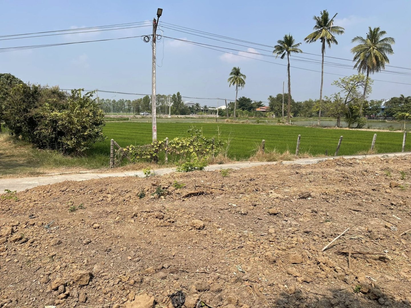 Vายด่วน ที่ดินเปล่าขนาด 154 ตรว. ถมแล้วเรียบร้อย อำเภอศรีประจันต์ จังหวัดสุพรรณบุรี