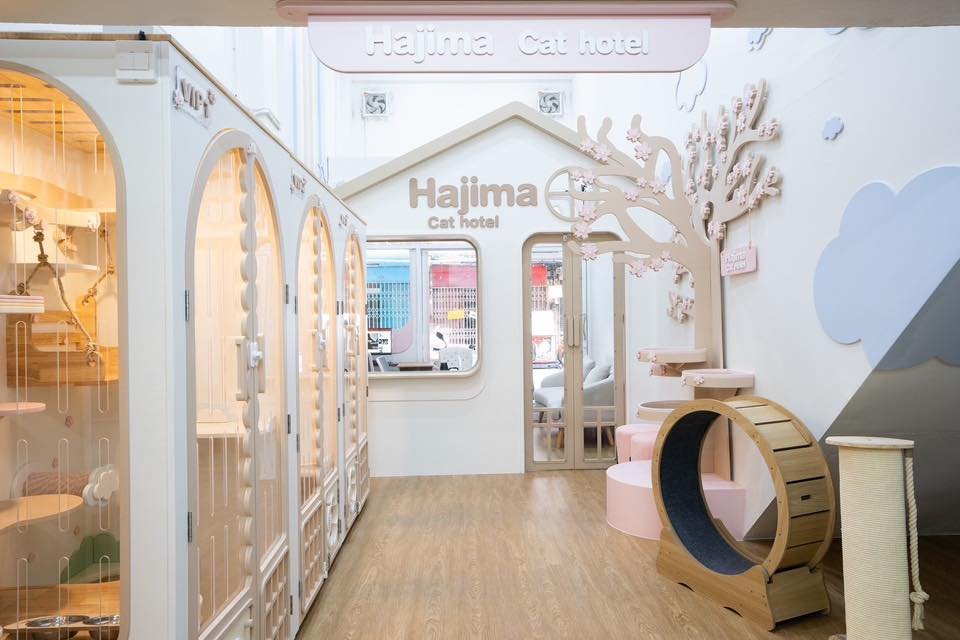 ้เซ้งด่วนร้านโรงแรมแมว ขนาดใหญ่