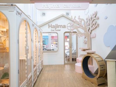 ้เซ้งด่วนร้านโรงแรมแมว ขนาดใหญ่