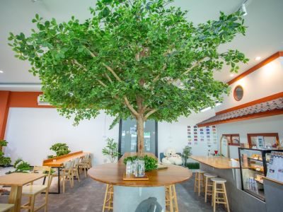 เซ้งร้านคาเฟ่ อยู่ใต้หอพัก ใกล้เอแบคบางนา